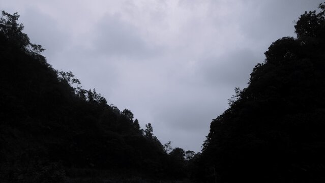 Monochrome view of a narrow forest valley framed by dense tree-covered hills beneath a cloudy sky, creating a moody and atmospheric mountain landscape.