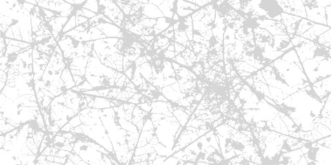 Fototapeta premium Abstract light gray branches with speckles on white background creating a textured organic pattern