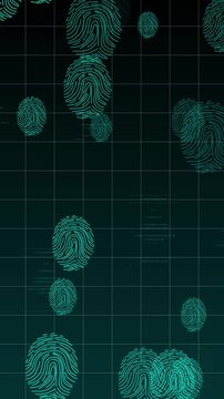 Biometric identity animation displays map out green fingerprint scan paths over dark grids International database network operations look highly organized here