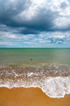 A seal swims in turquoise-green water under moody storm clouds, with foamy waves washing onto a sandy beach on the Norfolk coast, England.