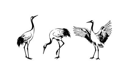 Naklejka premium Traditional Chinese ink wash crane bird set hand drawn oriental vector illustration