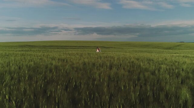 Two people sit close together near center-right of expansive green wheat or barley field on gently rolling hills, surrounded by tall dense stalks that show subtle blur suggesting breeze or shallow