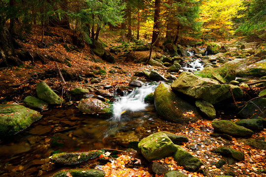 River. Autumn landscape with mountain river in the forest of the Karkonosze National Park in Poland, Europe
