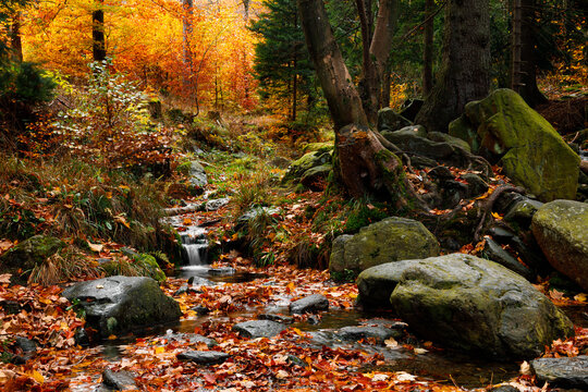 River. Autumn landscape with mountain river in the forest of the Karkonosze National Park in Poland, Europe