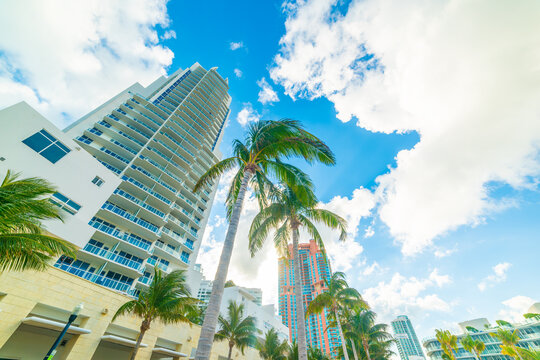 Palm trees and skyscrapers in Miami Beach under blue sky