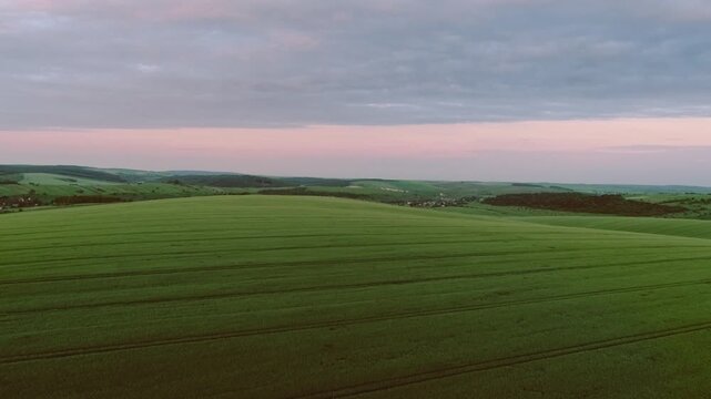 Wide view of expansive rolling green crop fields with parallel tractor track lines, distant village rooftops, low wooded ridges, and layered pastel sunrise sky creating calm rural landscape depth