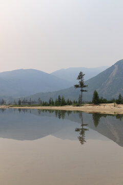Foggy morning landscape in the area of Purga River at Jack London Lake in Magadan region
