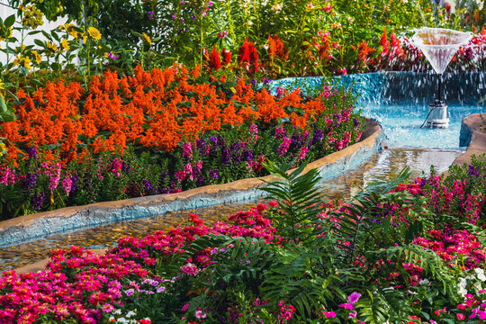 Colorful vibrant indoor flower garden with fountain and artificial stream in modern greenhouse. Concept for landscaping, botanical display, agritourism, and indoor garden design and eco tourism.