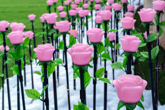 Rows of LED artificial pink rose lights in illuminated garden on artificial snow. LED artificial pink rose lights on dark green stems with fluffy artificial white snow and artificial green grass.