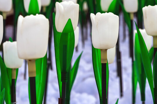 Field of white artificial LED tulip garden lights illuminated on artificial snow background. White LED tulip garden lights with green plastic leaves in rows on fluffy artificial snow. Selective focus.
