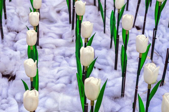 Field of white artificial LED tulip garden lights illuminated on artificial snow background. White LED tulip garden lights with green plastic leaves in rows on fluffy artificial snow. Selective focus.