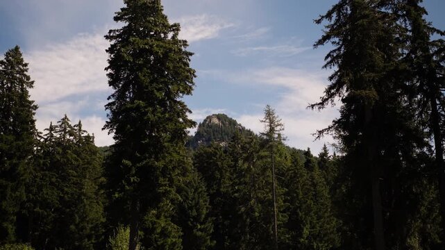 mountain landscape with lush green trees and green mountain the background over the italian alps in valle d'aosta. 4k 