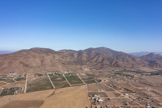 Aerial view of the vineyards in Valle de Guadalupe, featuring rows of grapevines, arid hills, and rural landscape in Guadalupe, Baja California, Mexico.