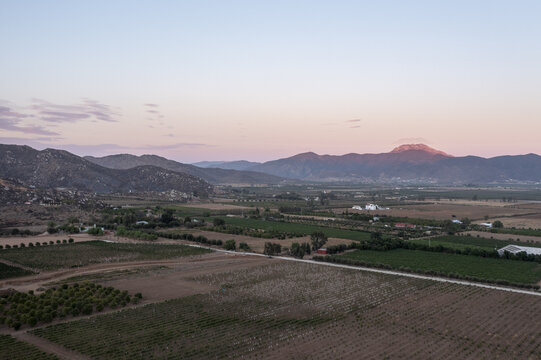 Aerial view of Guadalupe Vinedos featuring rows of vineyards and orchards stretching across the valley floor under a soft sunset sky in Guadalupe, Baja California, Mexico.
