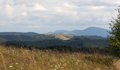 Fototapeta premium mountain landscape