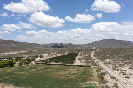 Aerial view of Parras de la Fuente Vineyards with green grapevines set against a desert landscape and distant mountains under a blue sky in Parras de la Fuente, Coahuila, Mexico.
