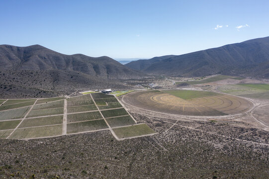 Aerial view of Parras de la Fuente vineyards with circular irrigation patterns, rows of grapevines, and arid mountain landscape in Parras de la Fuente, Coahuila, Mexico.