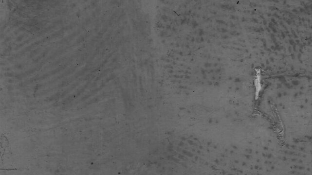 Fast rewind of extreme close-up vintage x-ray radiograph scan textures. Seamless looping grunge film overlay with dust, scratches and noise.