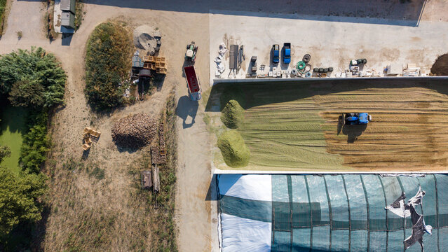 Aerial view of tractors unloading and compacting freshly cut grass for silage on a farm in Mediglia, Lombardy, Italy.