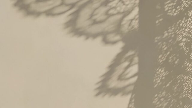 Gentle tree branch shadow moving on a beige wall, natural light overlay creating a calm and aesthetic background with copy space for text, concept of tranquility and nature