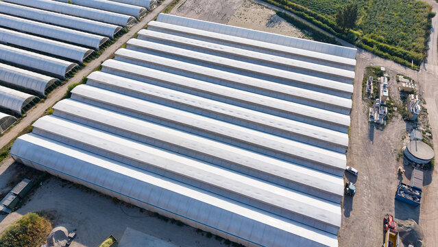 Aerial view of a large greenhouse complex with rows of white plastic-covered tunnels for vegetable production in the agricultural landscape of Mediglia, Lombardy, Italy.