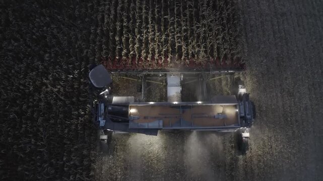 Aerial night view of combine harvester cutting mature corn with illuminated grain tank and work lights, with combine, harvester, corn, header detail, showing harvest, field, rows, stubble context