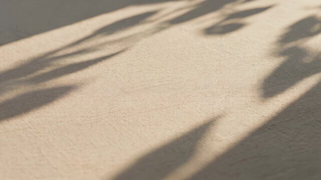 Abstract leaf shadows swaying in the wind, overlaying a textured concrete surface with gentle sunlight, creating a calm and serene nature-inspired background