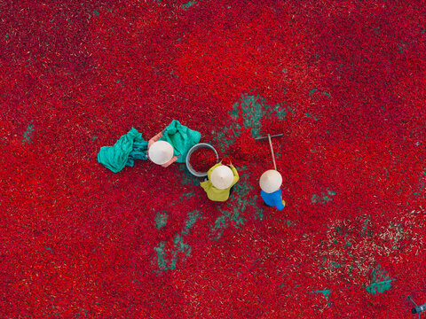Aerial view of a worker with a conical hat sorting red chilies drying in De Gi, Binh Dinh, Vietnam