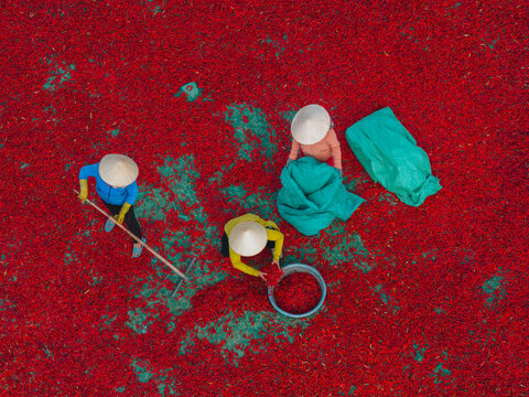 Aerial view of a worker with a conical hat sorting red chilies drying in De Gi, Binh Dinh, Vietnam