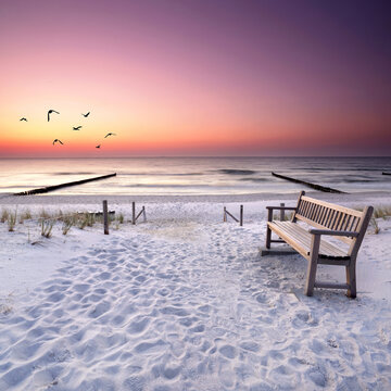 Silent Seaside Landscape with Bench at sunset light