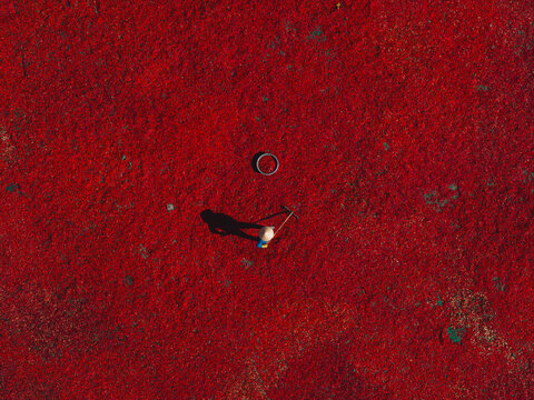 Aerial view of a line of workers raking sun-dried red chili peppers in De Gi, Binh Dinh province, Vietnam