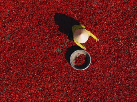 Aerial view of a worker with a conical hat sorting red chilies drying in De Gi, Binh Dinh, Vietnam