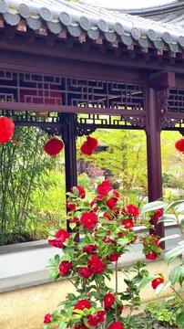Flowers grow near a pavilion with red lanterns in a garden at midday in a traditional setting