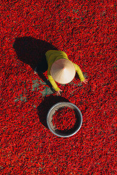 Aerial view of a worker with a conical hat sorting red chilies drying in De Gi, Binh Dinh, Vietnam