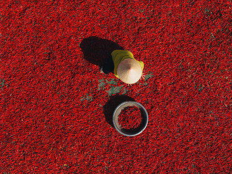 Aerial view of a worker with a conical hat sorting red chilies drying in De Gi, Binh Dinh, Vietnam