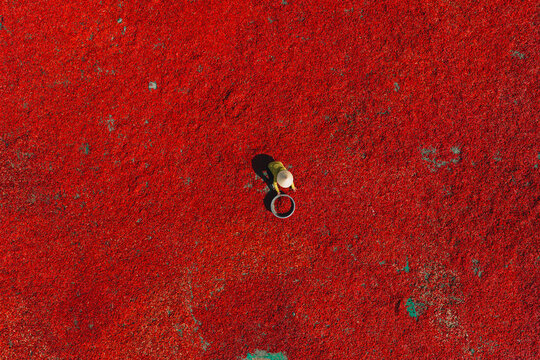 Aerial view of a worker with a conical hat sorting red chilies drying in De Gi, Binh Dinh, Vietnam