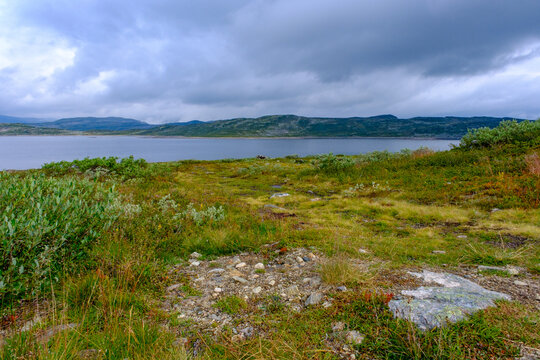 Panorama al Parco Nazionale Hardangervidda, Norvegia