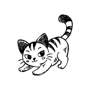Cute Tabby Cat Sketch Illustration in Black and White, Cartoon Striped Cat Character for Stickers, Prints and Pet Design