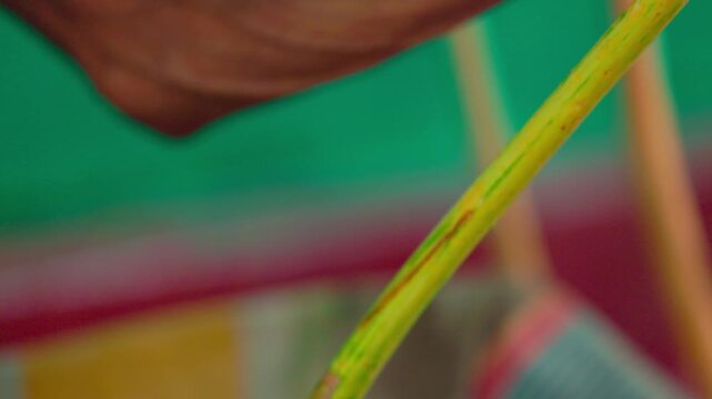 Production of cinnamon sticks. Traditional manually cleaning fresh cinnamon branches during the production of real Ceylon cinnamon in Sri Lanka. Close-up of artisanal cinnamon production in slow mo