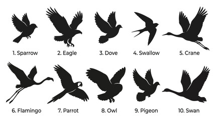 Naklejka premium Multiple bird silhouettes flying in various poses presented as a clean black graphic design collection set