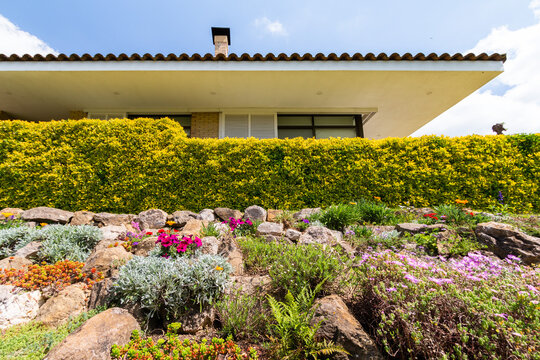 Flores y vegetacion 