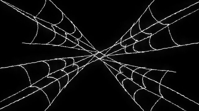 Spider web effect, animated white cobweb structure, flexible silk thread expansion, eerie halloween atmosphere overlay, transparent style element, 4k loop, black background video