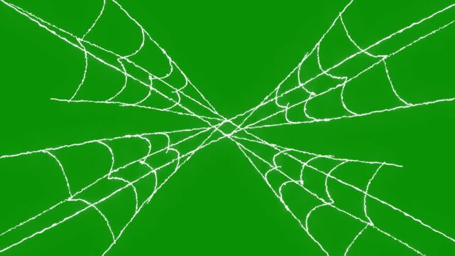 Dynamic spider web expansion animation, flexible elastic silk strands, pulsing cobweb motion graphic, horror movie overlay element, ultra hd 4k seamless loop, black background video