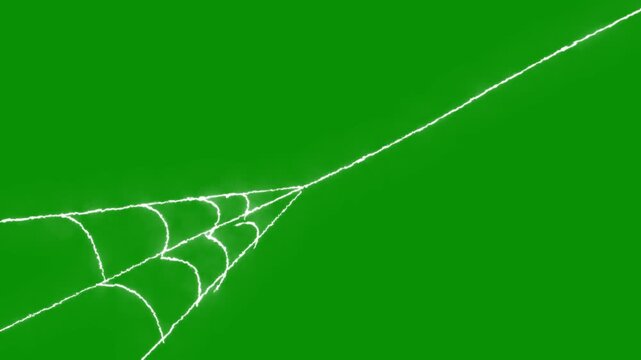 Animated spider web expansion effect, flexible elastic strands, dynamic tension motion design, pulsing cobweb structure, seamless horror overlay, 4k loop, halloween, green background video