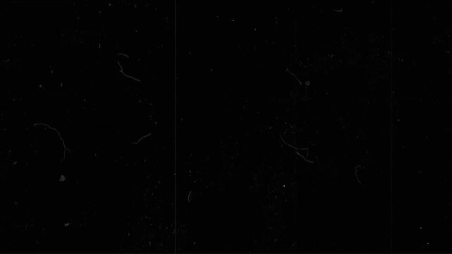 Dust and scratches retro vintage grunge overlay for classic horror mystery video edit