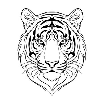 Tiger Head Vector Illustration, Black and White Line Art Mascot Design for Tattoo or Logo, Fierce Wild Cat Face