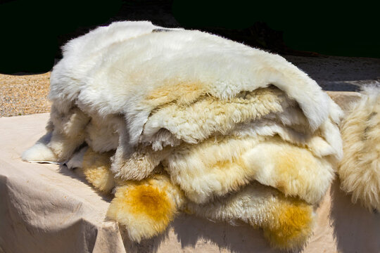 Pile of genuine unshorn sheepskin leather with dense wool fleece sold on market outside