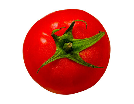 Fresh organic raw ripe red tomato vegetable isolated on white background