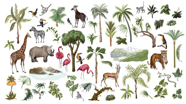 Jungle Tropical Animals Isolated Collection with Safari Wildlife Botanical Elements for Mural Design