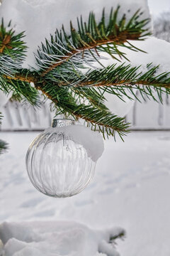 A Christmas tree stands outdoors covered in snow. A clear ornament hangs from a branch. The scene captures the festive spirit of the New Year season